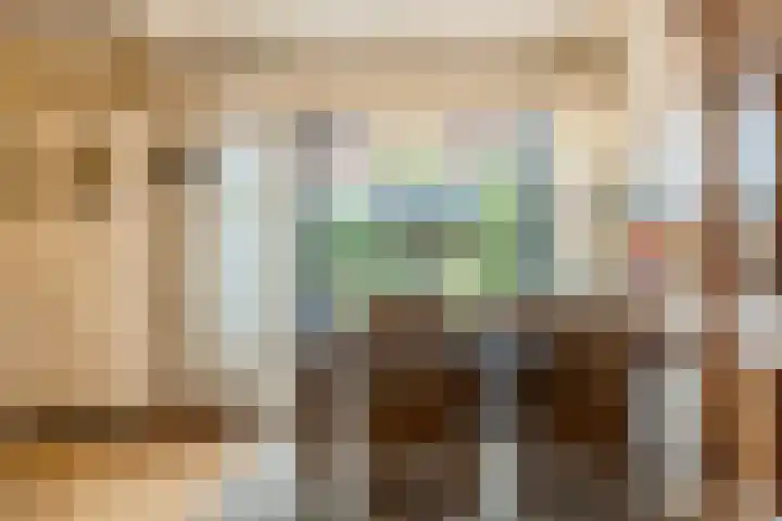 Patrijs 1 Ursem thumbnail 8