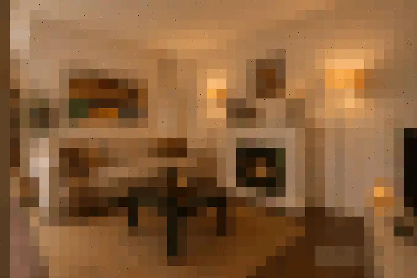 Patrijs 10 Raalte thumbnail 12