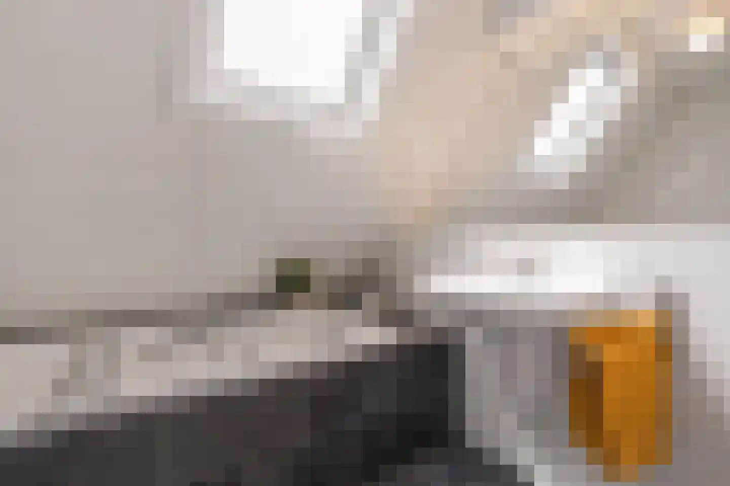 Patrijs 10 Raalte thumbnail 24