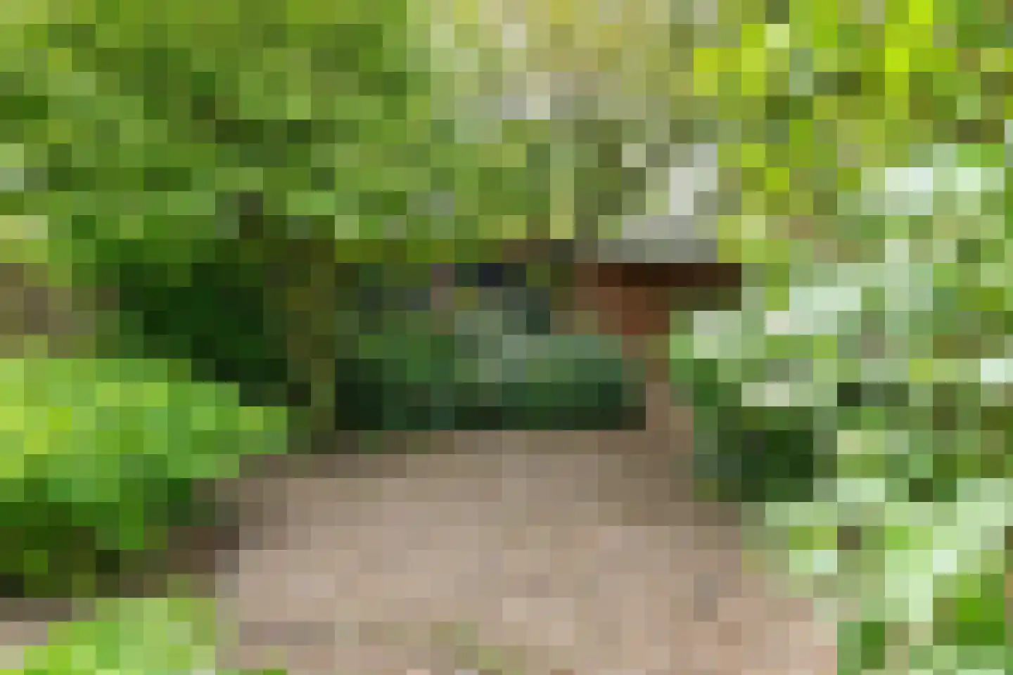 Patrijs 10 Raalte thumbnail 27