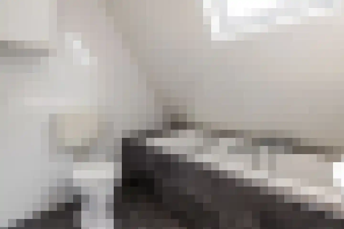 Patrijs 10 Raalte thumbnail 29