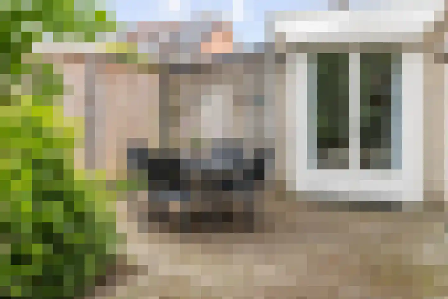 Patrijs 10 Raalte thumbnail 32