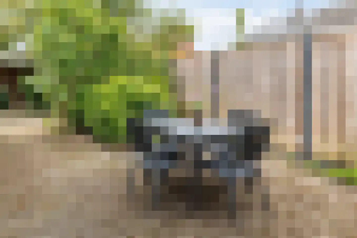 Patrijs 10 Raalte thumbnail 33