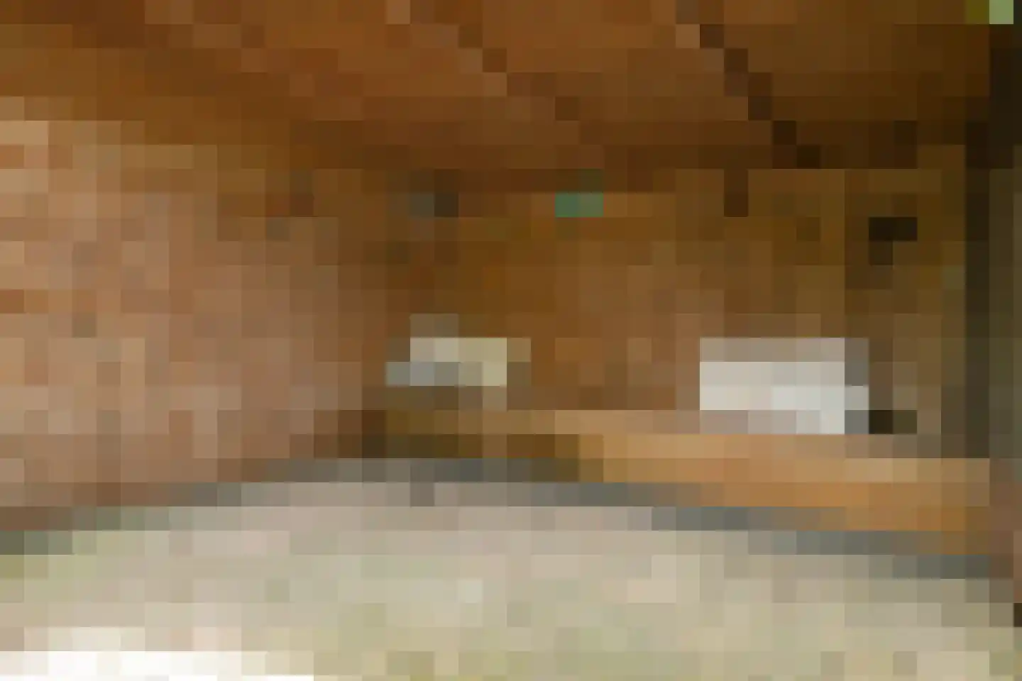 Patrijs 10 Raalte thumbnail 36