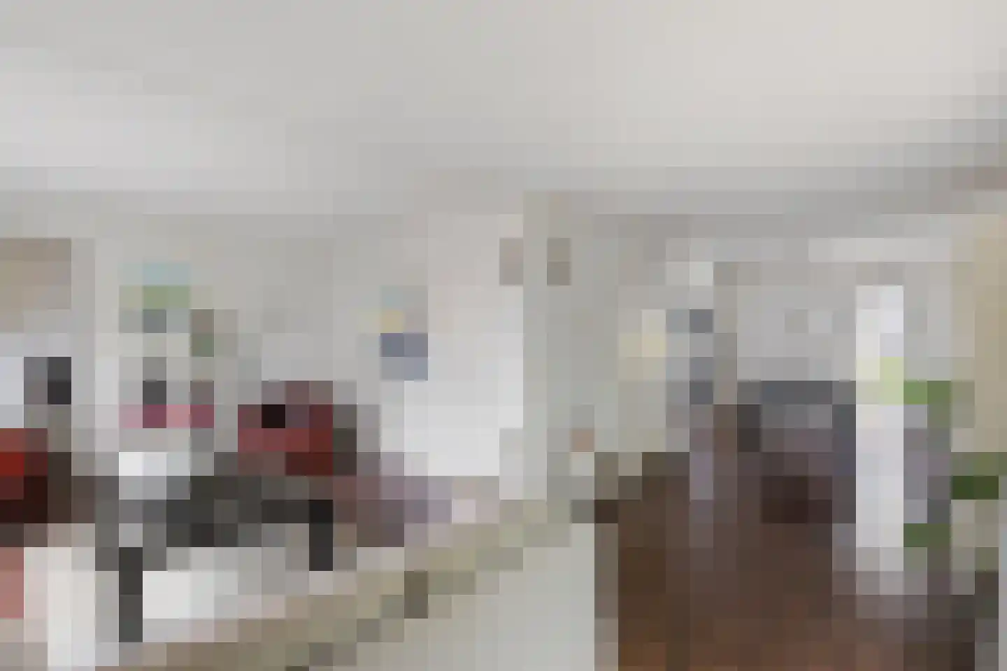 Patrijs 10 Raalte thumbnail 5