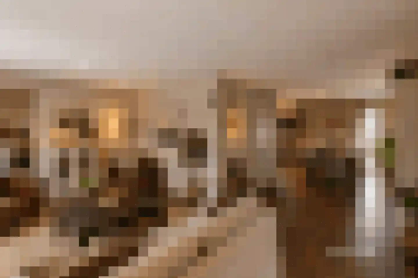 Patrijs 10 Raalte thumbnail 6