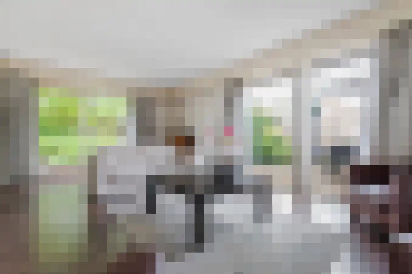 Patrijs 10 Raalte thumbnail 7