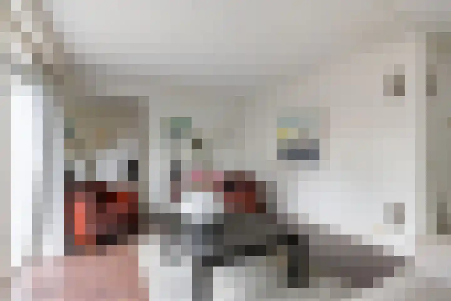 Patrijs 10 Raalte thumbnail 9