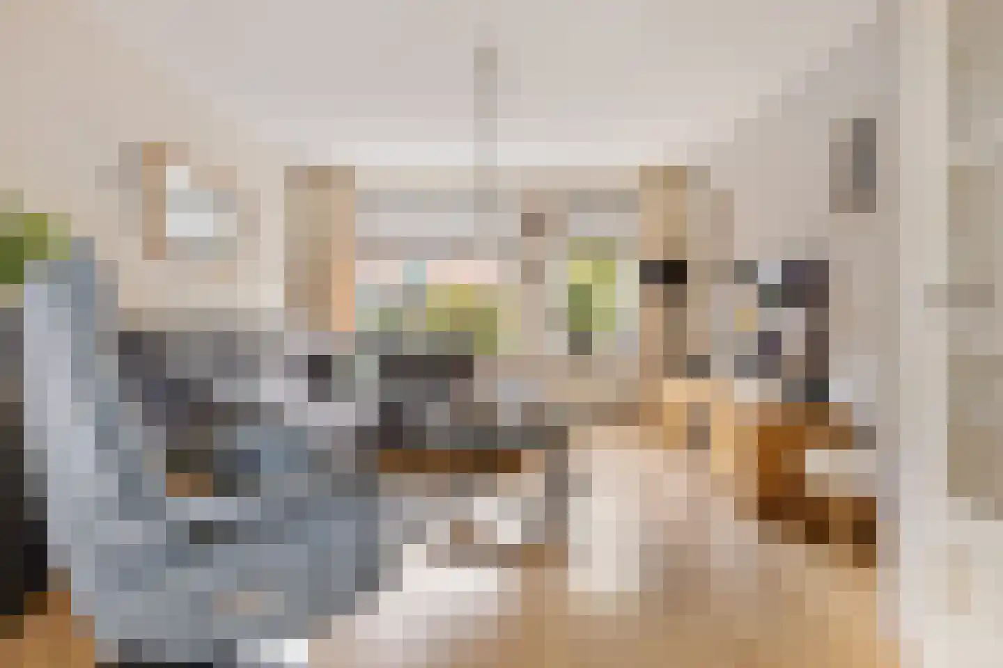 Patrijs 10 Siddeburen thumbnail 14