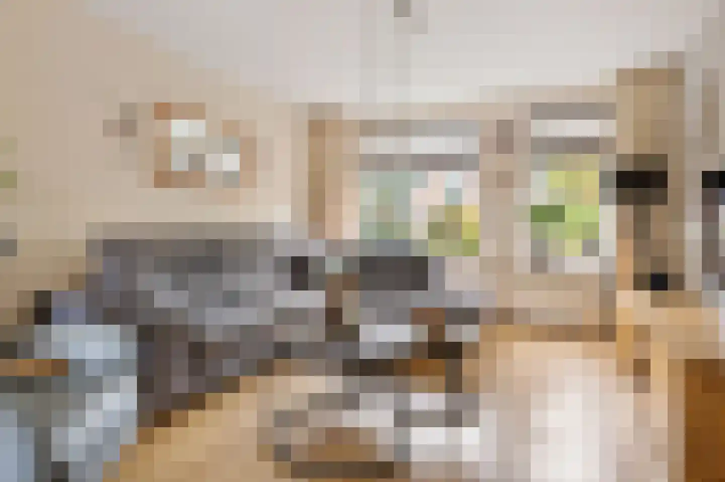 Patrijs 10 Siddeburen thumbnail 15