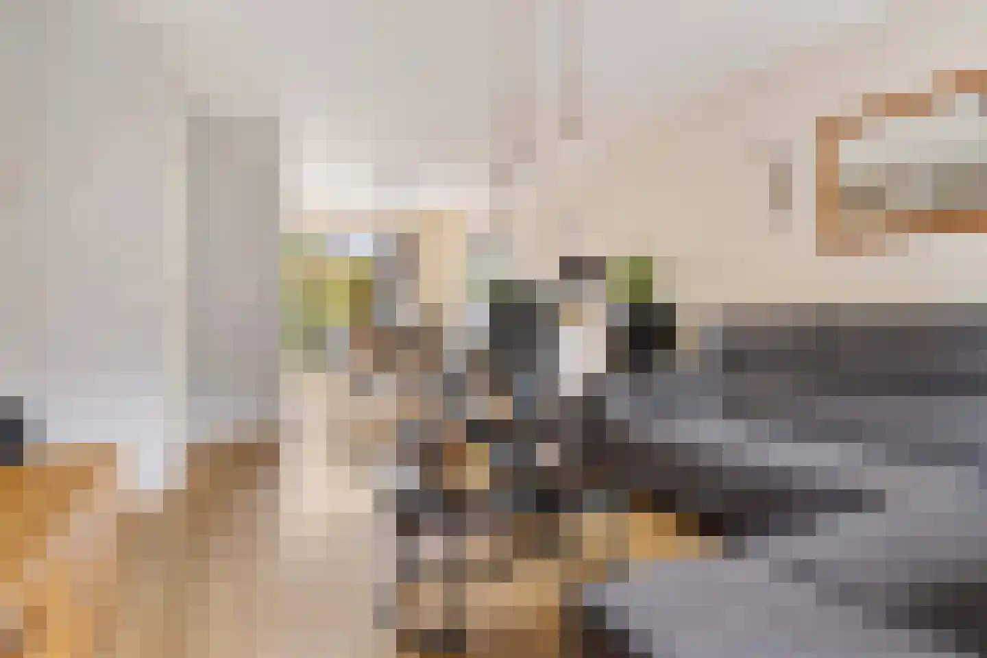 Patrijs 10 Siddeburen thumbnail 16