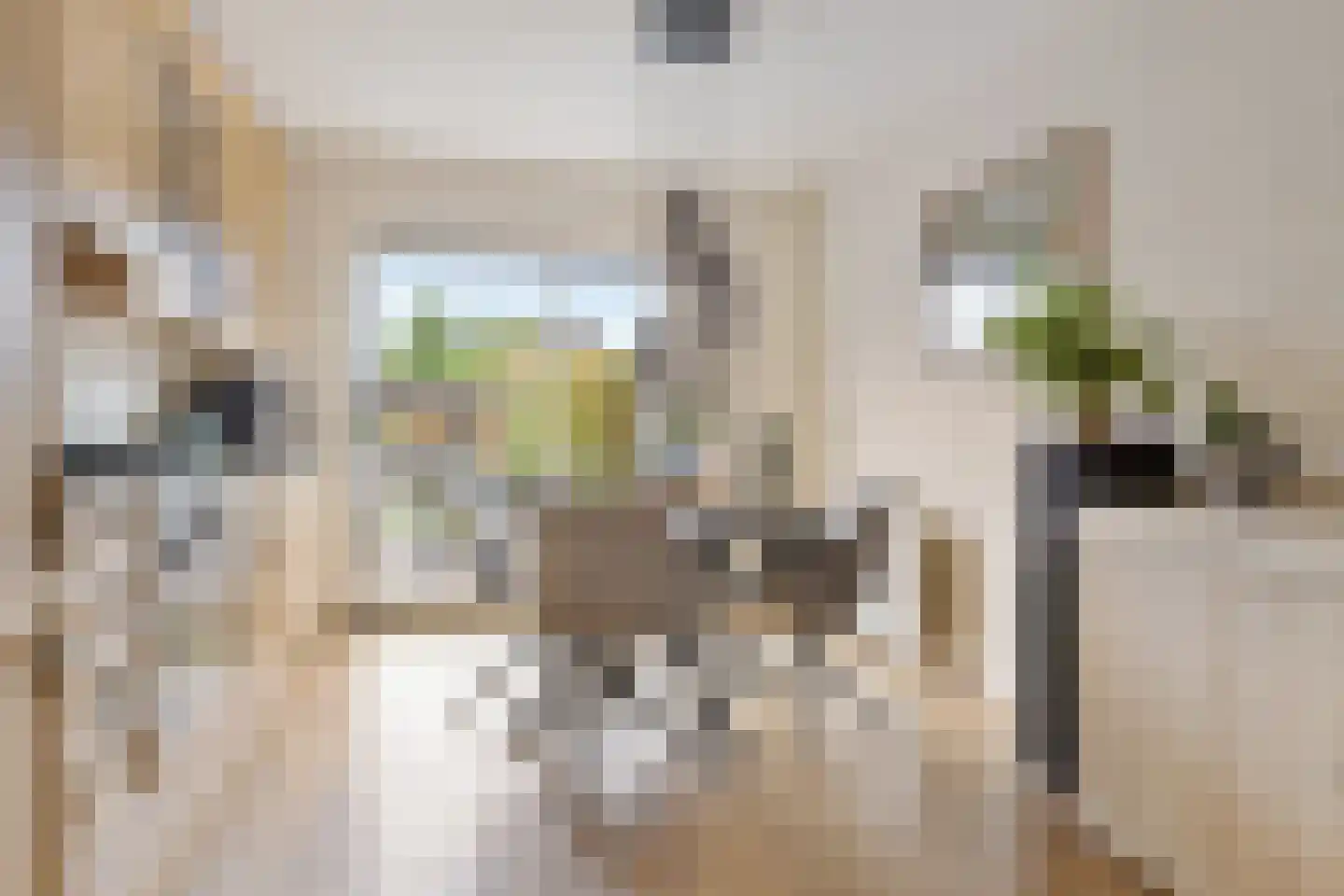 Patrijs 10 Siddeburen thumbnail 18
