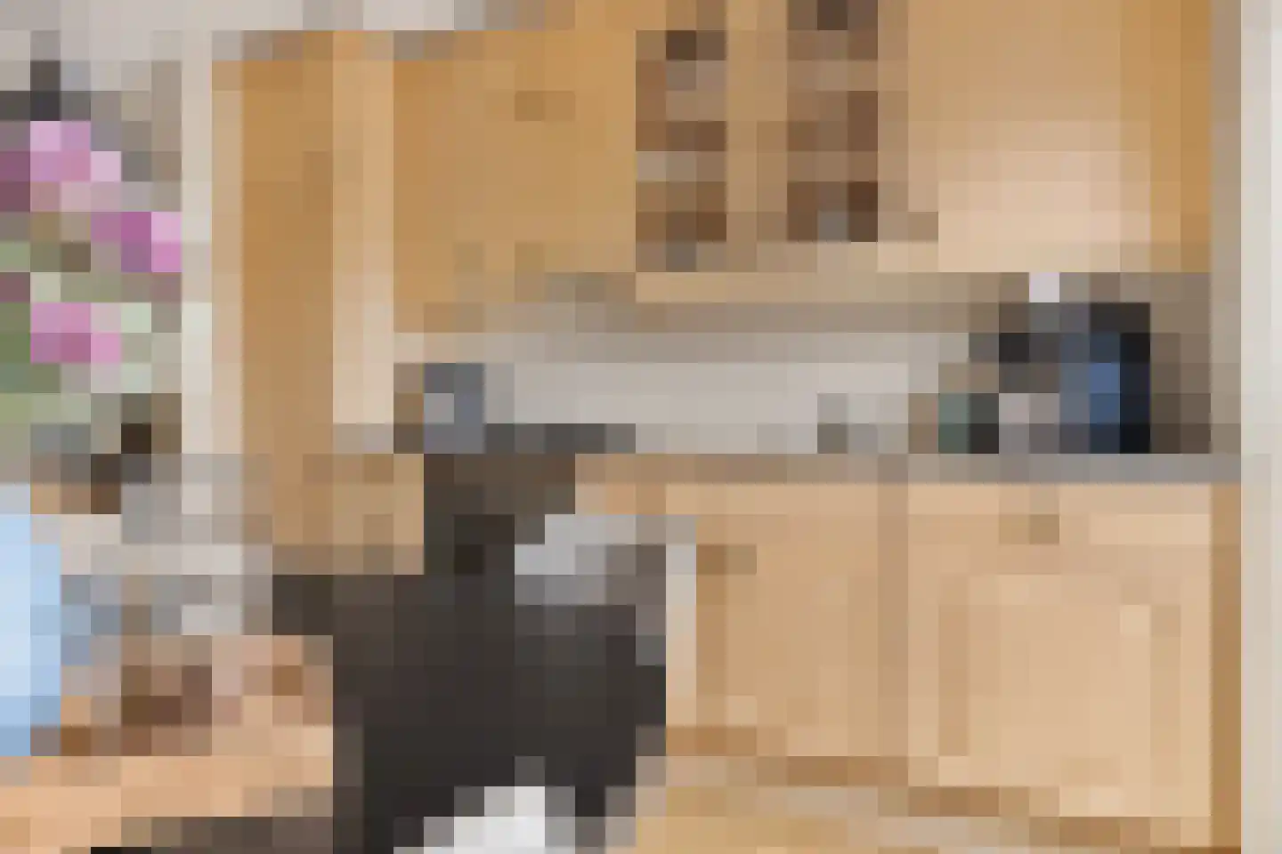 Patrijs 10 Siddeburen thumbnail 20