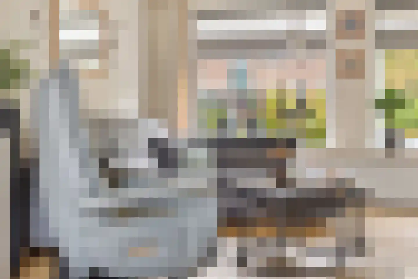 Patrijs 10 Siddeburen thumbnail 22