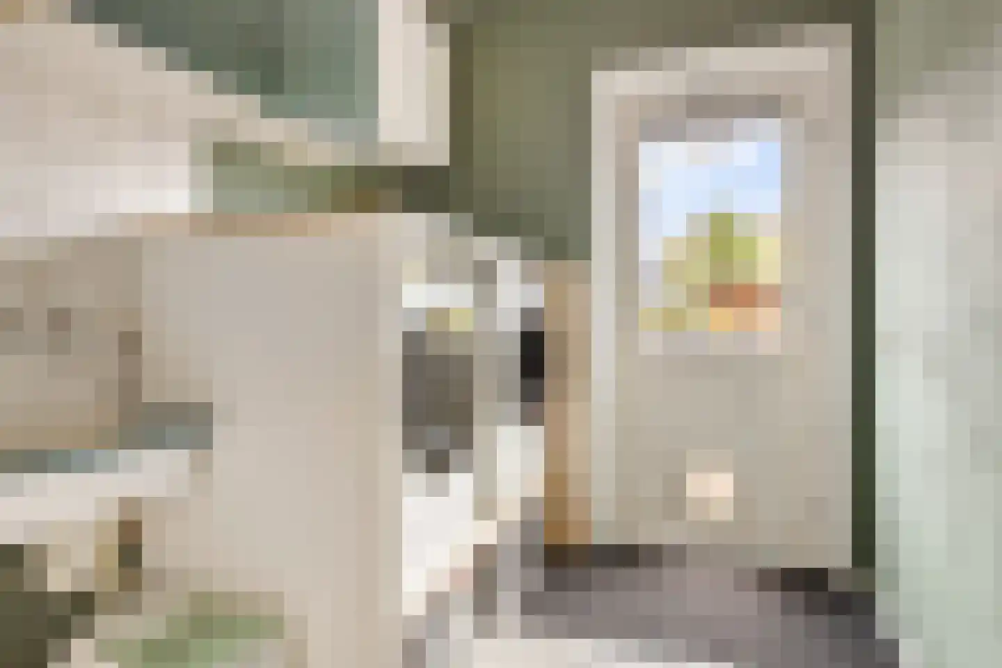Patrijs 10 Siddeburen thumbnail 25