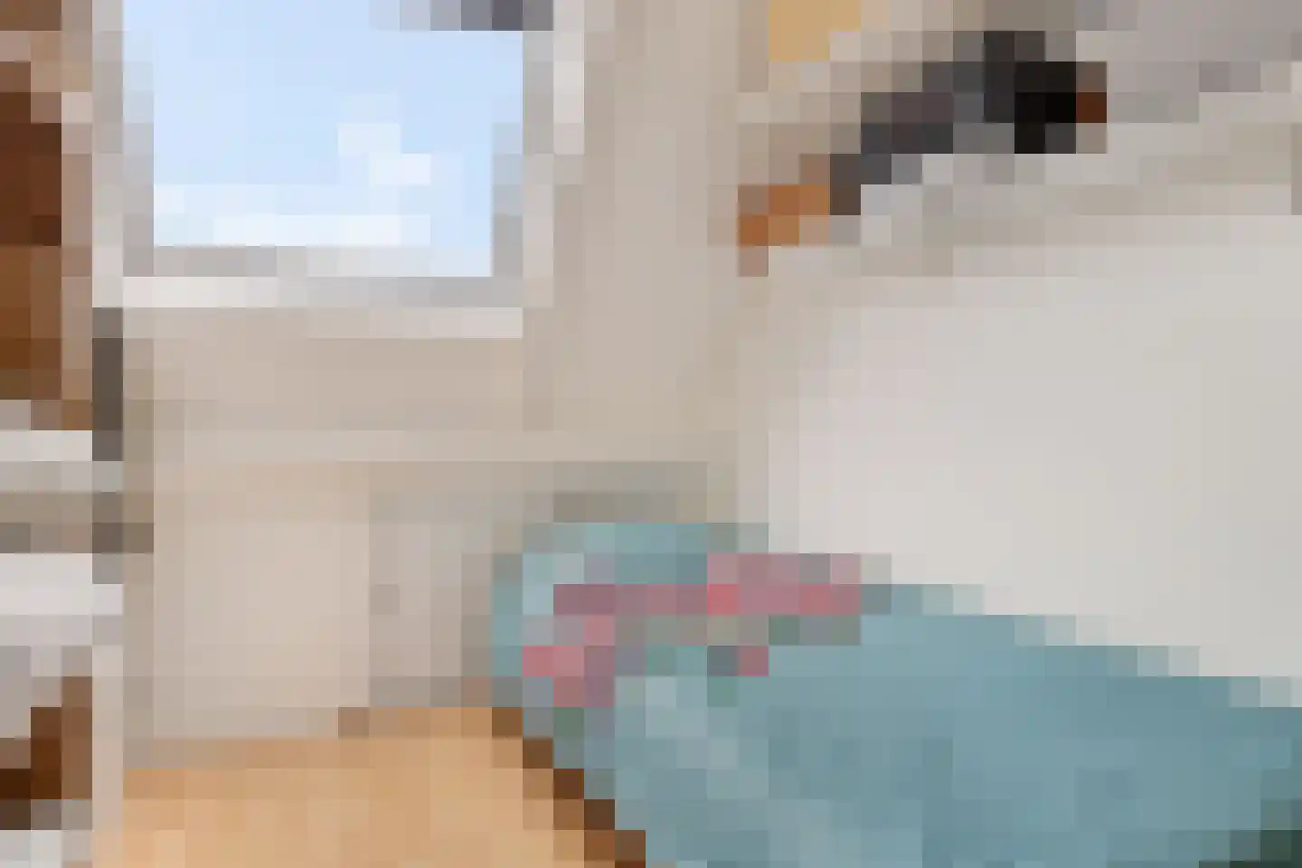 Patrijs 10 Siddeburen thumbnail 33
