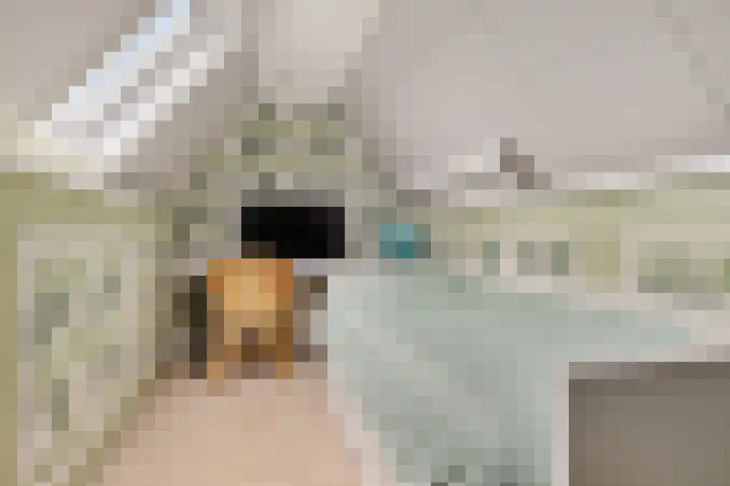 Patrijs 10 Siddeburen thumbnail 38