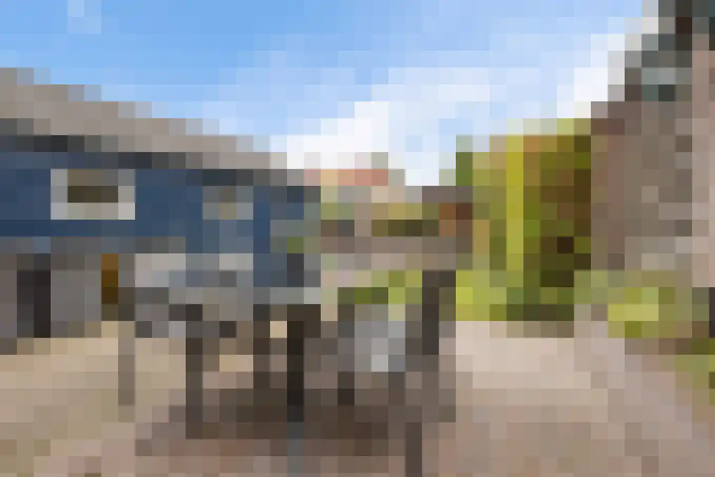 Patrijs 10 Siddeburen thumbnail 39