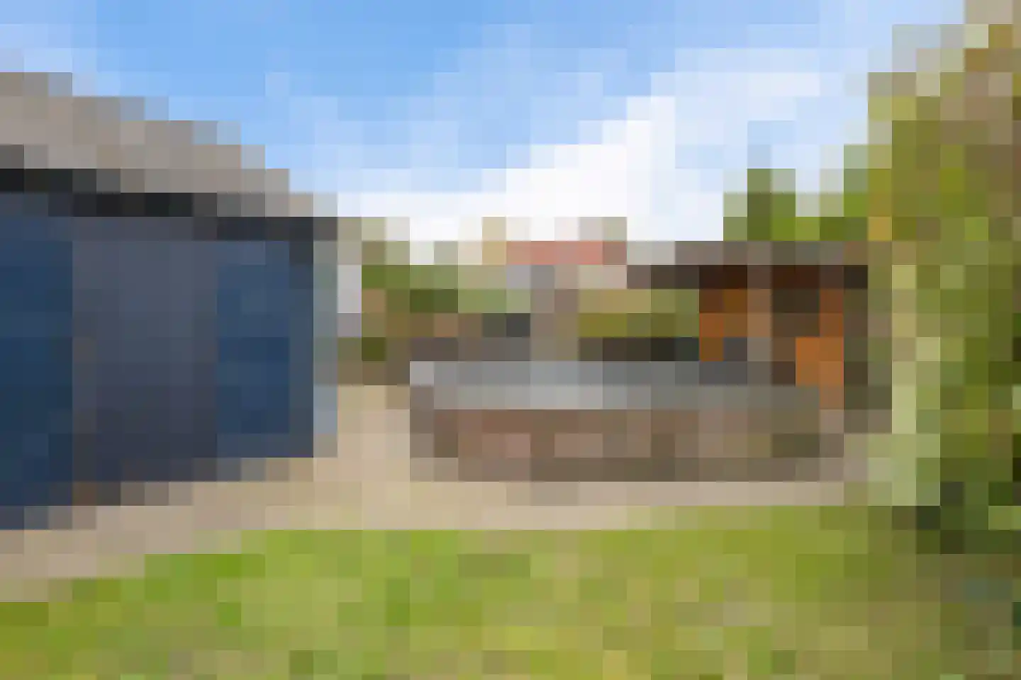 Patrijs 10 Siddeburen thumbnail 42
