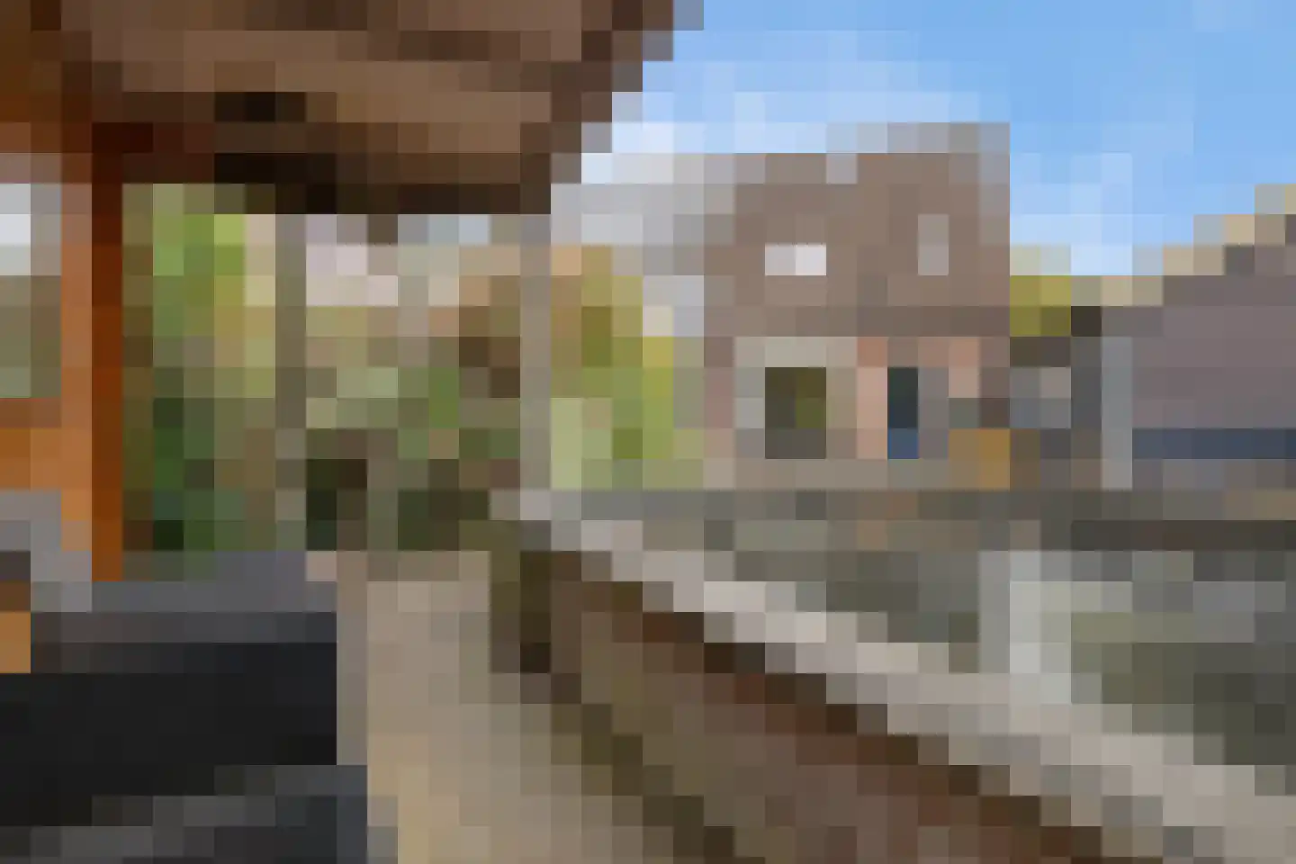 Patrijs 10 Siddeburen thumbnail 44