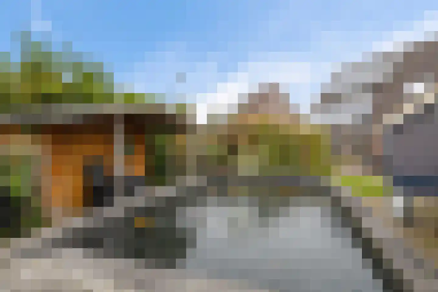 Patrijs 10 Siddeburen thumbnail 45