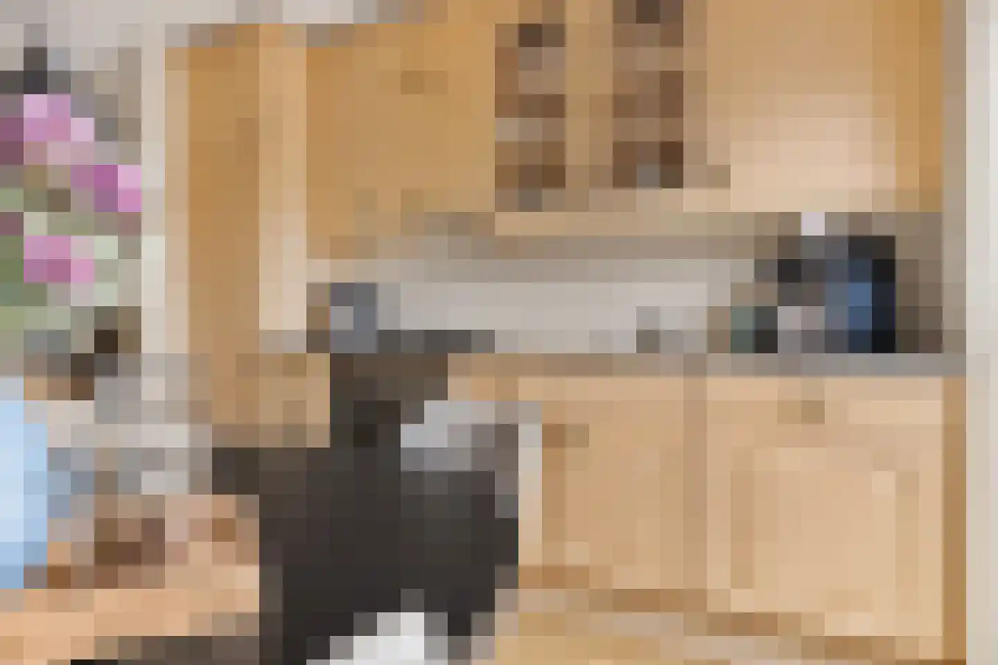 Patrijs 10 Siddeburen thumbnail 6