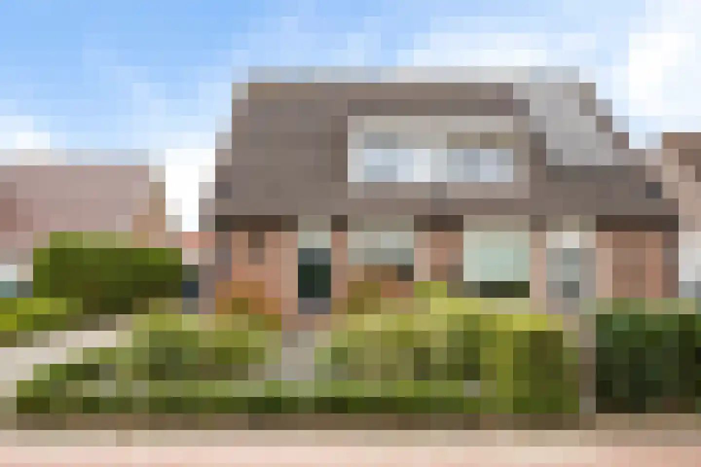 Patrijs 10 Siddeburen thumbnail 7