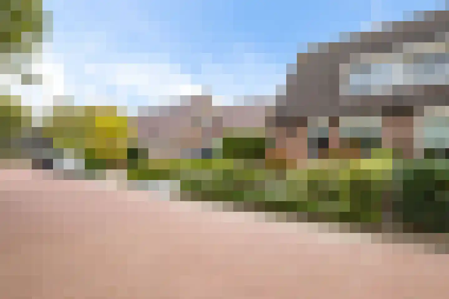 Patrijs 10 Siddeburen thumbnail 8
