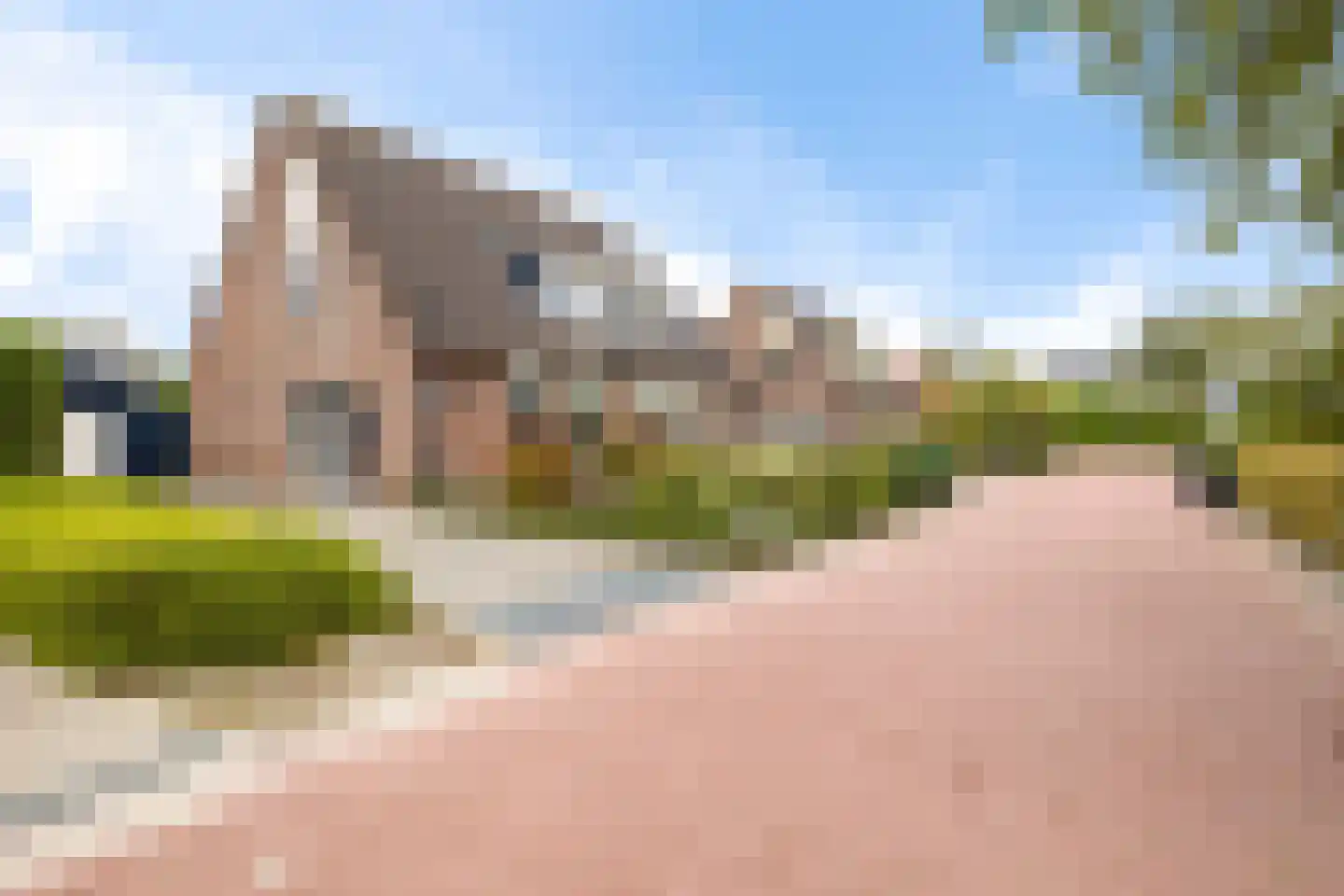Patrijs 10 Siddeburen thumbnail 9