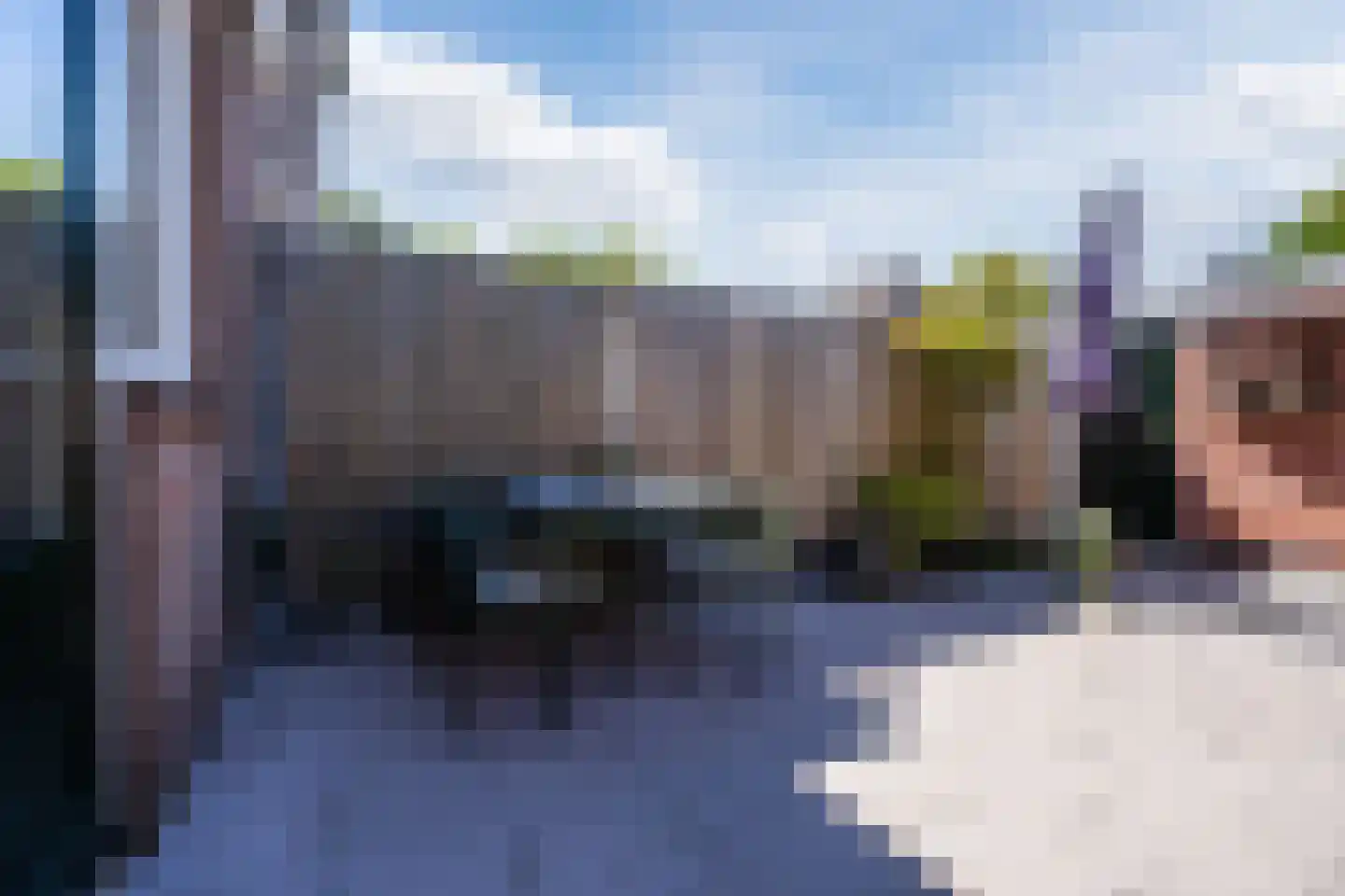 Patrijs 11 Barendrecht thumbnail 20