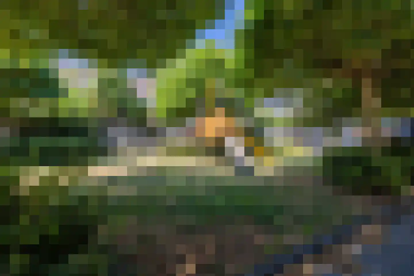Patrijs 11 Barendrecht thumbnail 35