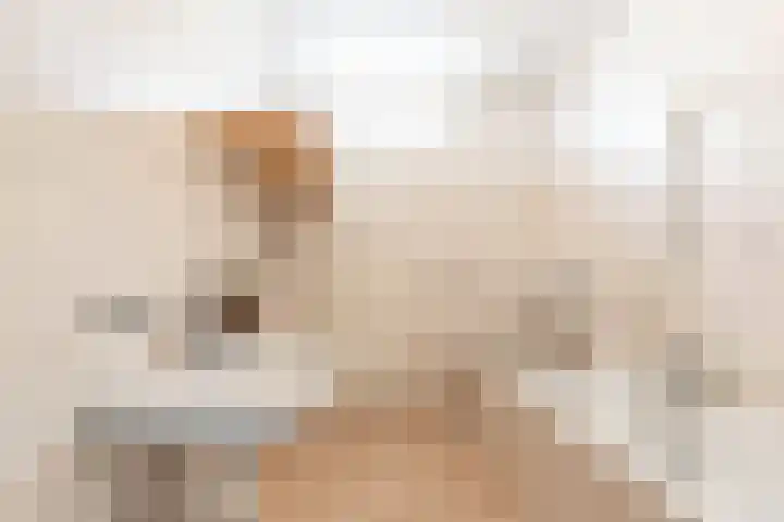 Patrijs 14 Grijpskerk thumbnail 20
