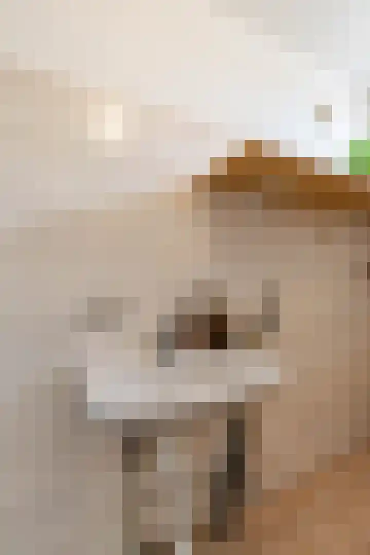 Patrijs 14 Grijpskerk thumbnail 22