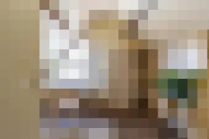 Patrijs 14 Grijpskerk thumbnail 24