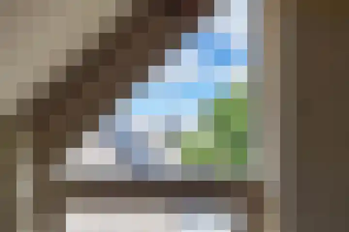 Patrijs 14 Grijpskerk thumbnail 25
