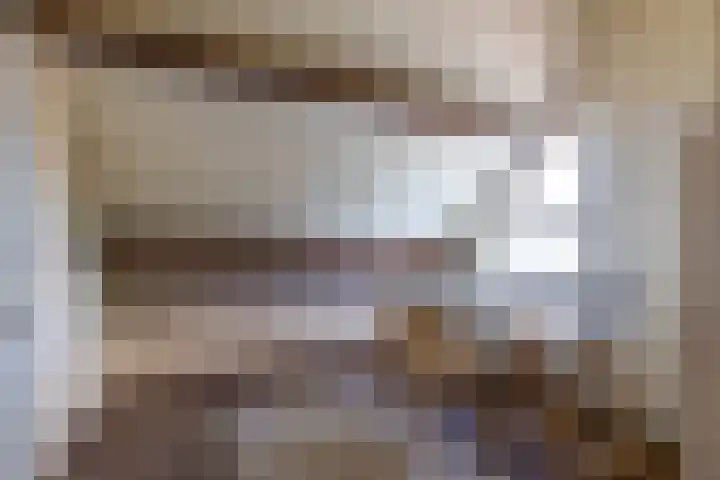 Patrijs 14 Grijpskerk thumbnail 27