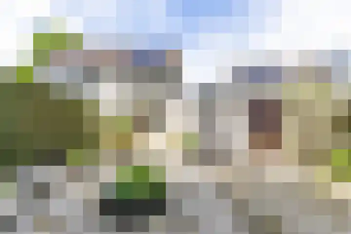 Patrijs 14 Grijpskerk thumbnail 28