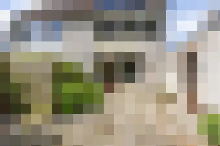 Patrijs 14 Grijpskerk thumbnail 29