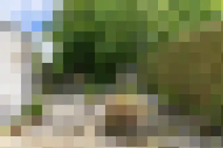 Patrijs 14 Grijpskerk thumbnail 31