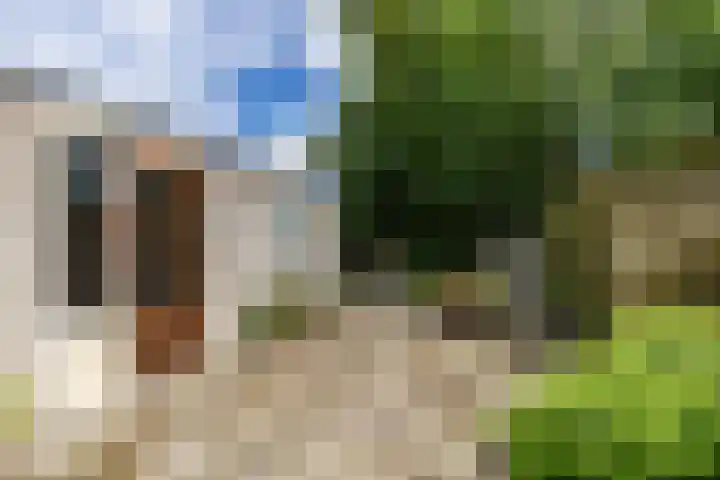 Patrijs 14 Grijpskerk thumbnail 32