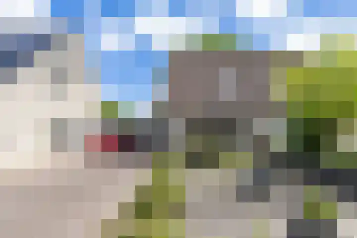 Patrijs 14 Grijpskerk thumbnail 33