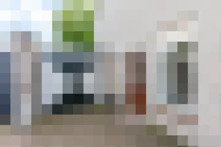 Patrijs 14 Grijpskerk thumbnail 34