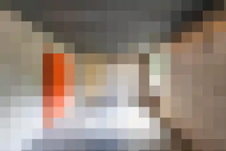 Patrijs 14 Grijpskerk thumbnail 36