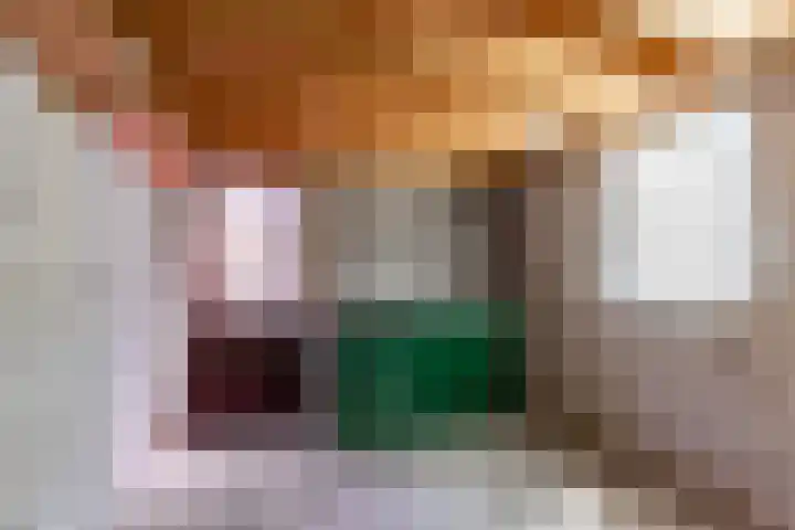 Patrijs 14 Grijpskerk thumbnail 37