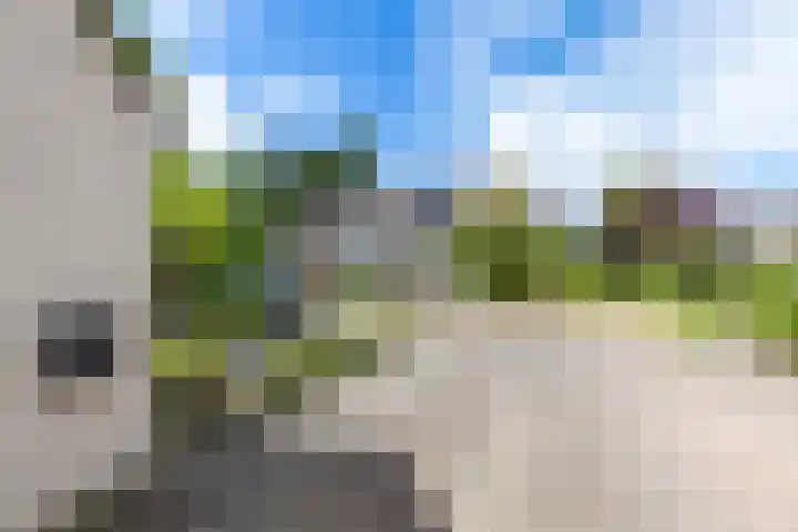 Patrijs 14 Grijpskerk thumbnail 39