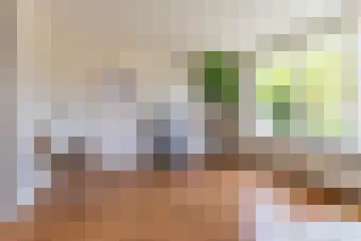 Patrijs 14 Grijpskerk thumbnail 4