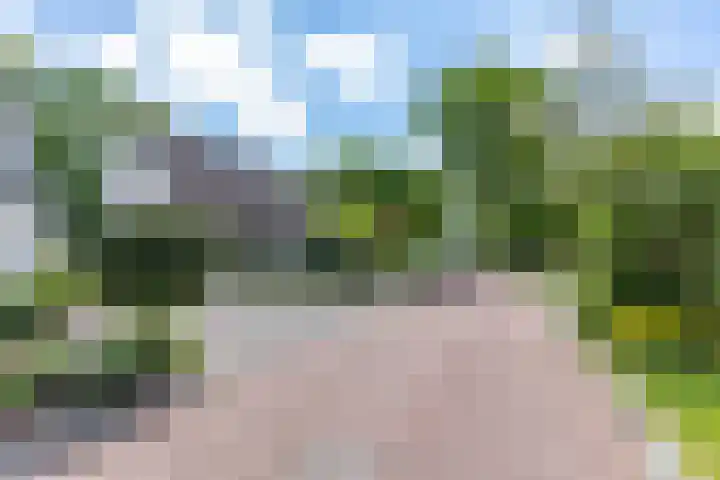 Patrijs 14 Grijpskerk thumbnail 40