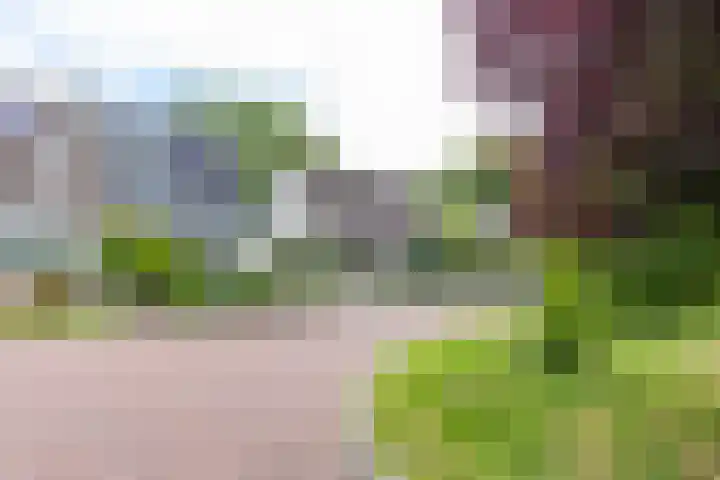 Patrijs 14 Grijpskerk thumbnail 41
