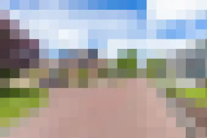 Patrijs 14 Grijpskerk thumbnail 42