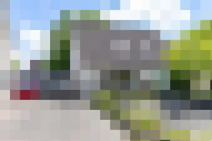 Patrijs 14 Grijpskerk thumbnail 46
